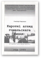 Старчанка Уладзімір, Кароткі агляд гомельскага жыцця: Палітыка. Эканоміка. Правы чалавека