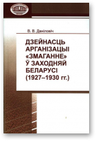 Даніловіч В. В., Дзейнасць арганізацыі