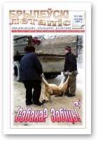 Брылеўскі летапіс, 3 (85)