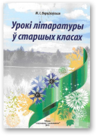 Верціхоўская Марыя, Урокі літаратуры ў старшых класах