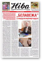 Ніва, 27 (2982) 2013