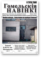 Гомельскія Навінкі, люты 2014