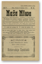 Наша Ніва (1906-1915), 38/1910