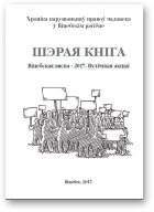 Шэрая кніга. Віцебская вясна - 2017. Вулічныя акцыі