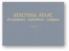 Лексічны атлас беларускіх народных гаворак, Т. 4