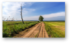 Пад знакам Пагоні, 23.04.2021