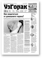 Узгорак, 29 (525) 2019