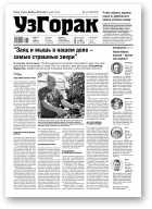 Узгорак, 36 (532) 2019