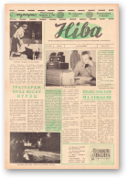 Ніва, 40 (449) 1964