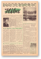 Ніва, 14 (527) 1966