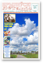 Брылеўскі летапіс, 14 (33)