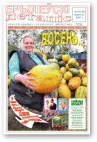 Брылеўскі летапіс, 19 (38)