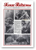 Голас Радзімы, 8 (2098) 1989